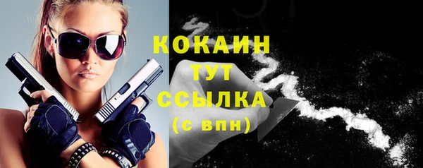 шишки Белоозёрский