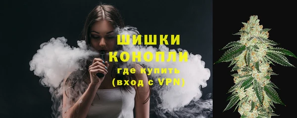 шишки Белоозёрский