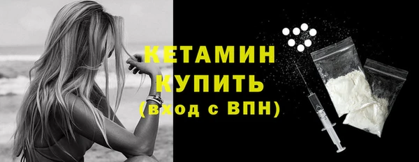 шишки Белоозёрский