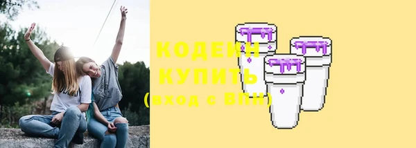 шишки Белоозёрский