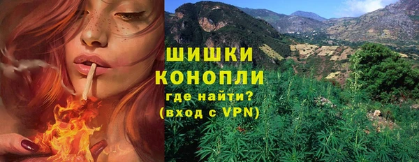 шишки Белоозёрский