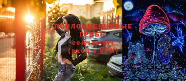 шишки Белоозёрский