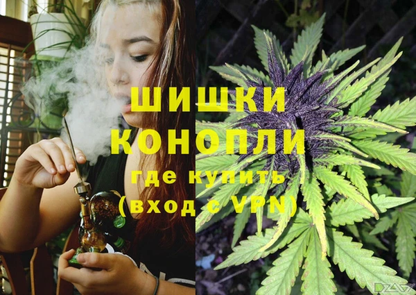 шишки Белоозёрский
