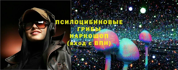 шишки Белоозёрский