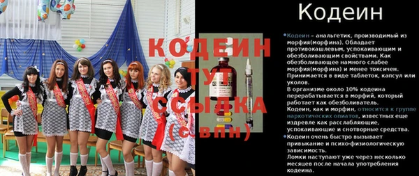 шишки Белоозёрский