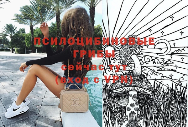 шишки Белоозёрский