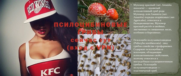 шишки Белоозёрский