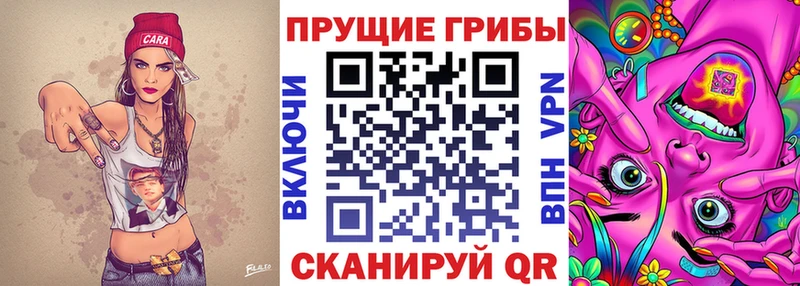 Псилоцибиновые грибы Magic Shrooms  купить наркоту  Усть-Илимск 